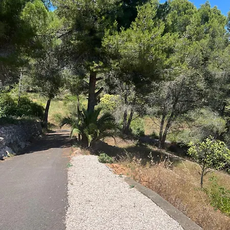 La Benoite A * Carqueiranne